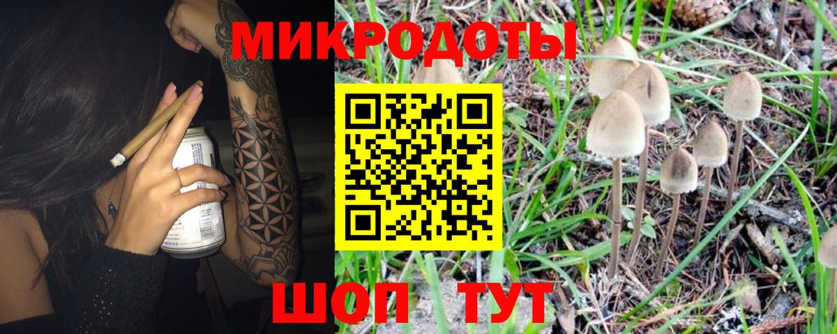 Псилоцибиновые грибы Magic Shrooms  Псилоцибиновые грибы Psilocybe  Фрязино  Вход с VPN 